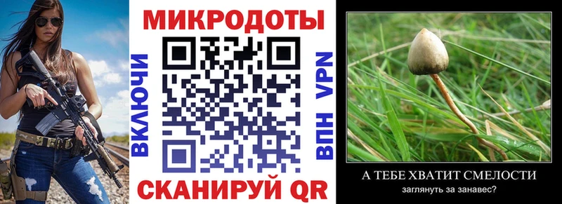 закладки  Самара  Псилоцибиновые грибы MAGIC MUSHROOMS 